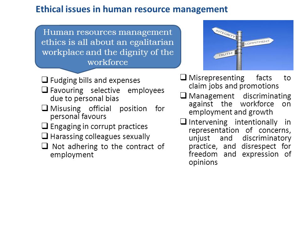 Human Resource Roles and Responsibilities